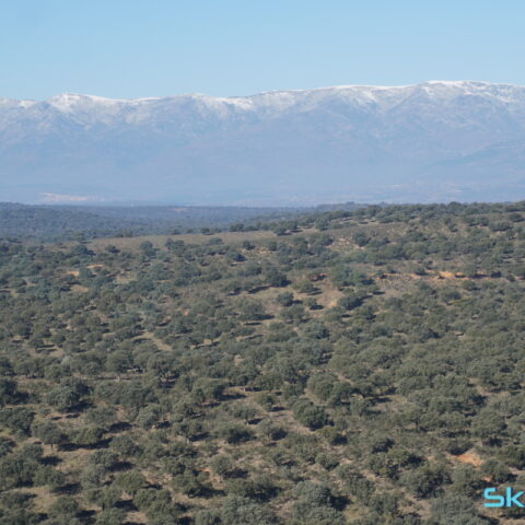 Gredos