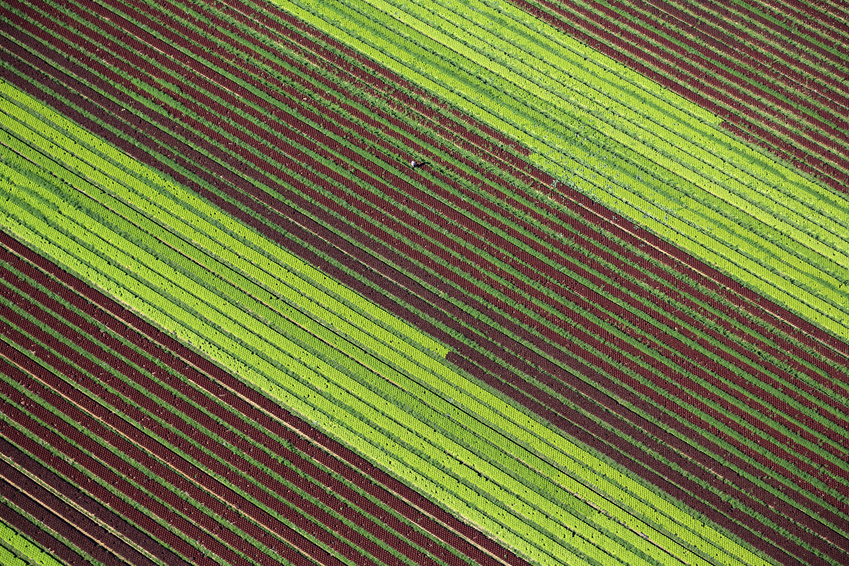 Agricultura