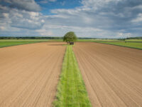 Agricultura